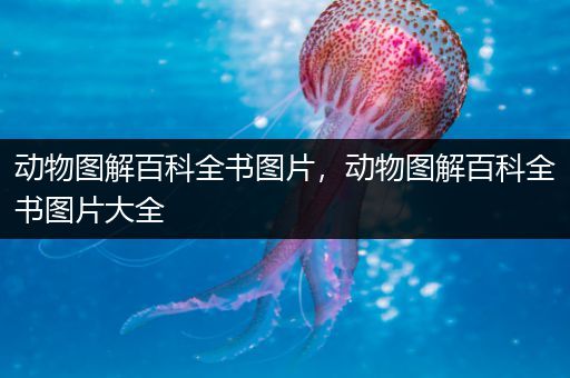 动物图解百科全书图片，动物图解百科全书图片大全