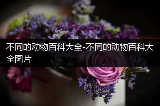 不同的动物百科大全-不同的动物百科大全图片