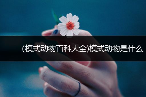 （模式动物百科大全)模式动物是什么