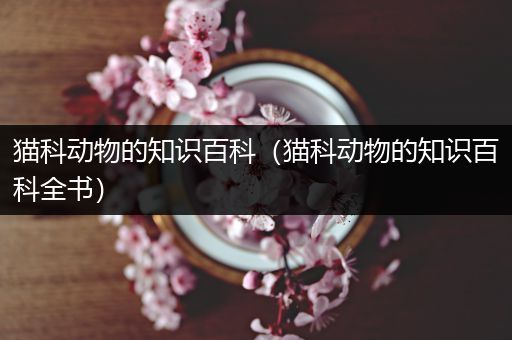 猫科动物的知识百科（猫科动物的知识百科全书）
