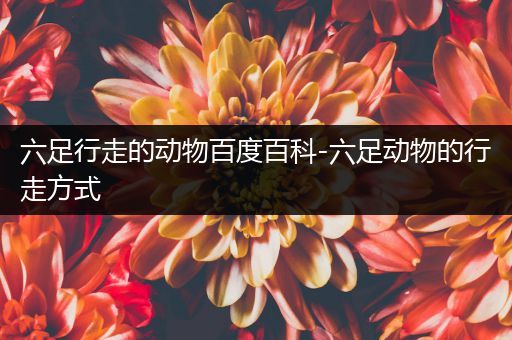 六足行走的动物百度百科-六足动物的行走方式