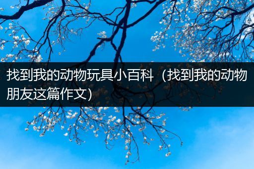 找到我的动物玩具小百科（找到我的动物朋友这篇作文）