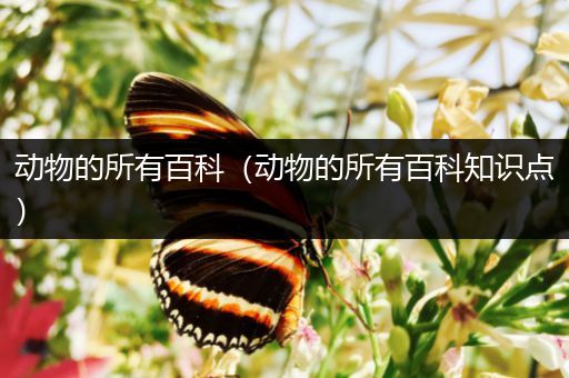 动物的所有百科（动物的所有百科知识点）