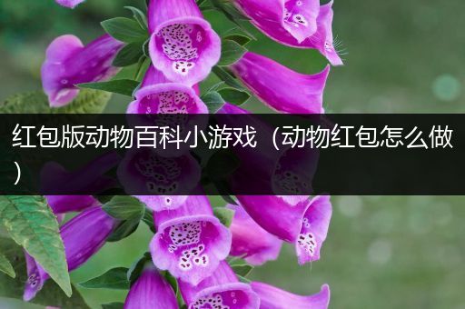 红包版动物百科小游戏（动物红包怎么做）
