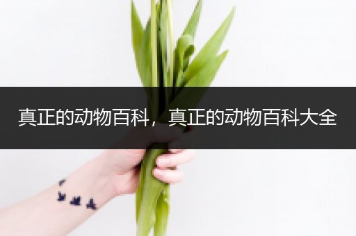 真正的动物百科，真正的动物百科大全