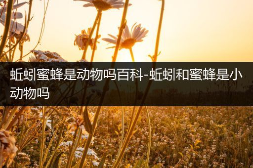 蚯蚓蜜蜂是动物吗百科-蚯蚓和蜜蜂是小动物吗
