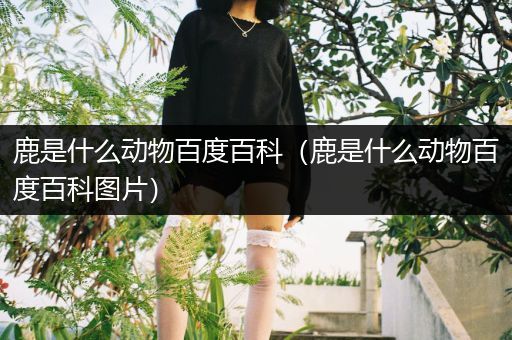 鹿是什么动物百度百科（鹿是什么动物百度百科图片）