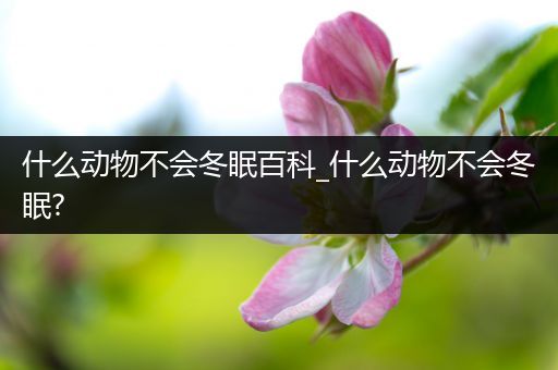 什么动物不会冬眠百科_什么动物不会冬眠?