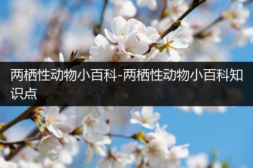 两栖性动物小百科-两栖性动物小百科知识点