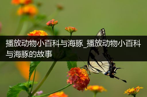 播放动物小百科与海豚_播放动物小百科与海豚的故事