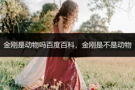 金刚是动物吗百度百科，金刚是不是动物