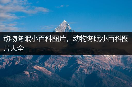 动物冬眠小百科图片，动物冬眠小百科图片大全
