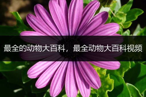 最全的动物大百科，最全动物大百科视频