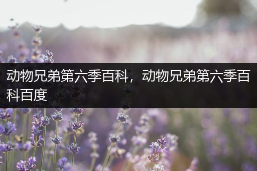 动物兄弟第六季百科，动物兄弟第六季百科百度