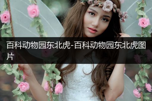 百科动物园东北虎-百科动物园东北虎图片