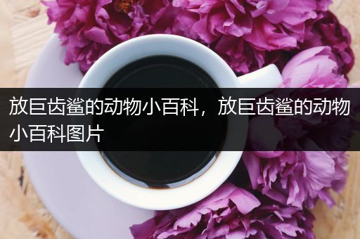 放巨齿鲨的动物小百科，放巨齿鲨的动物小百科图片