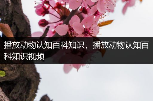 播放动物认知百科知识，播放动物认知百科知识视频