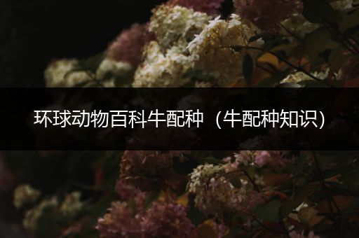 环球动物百科牛配种（牛配种知识）