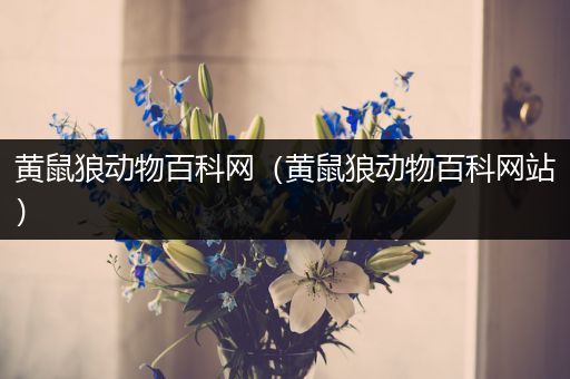 黄鼠狼动物百科网（黄鼠狼动物百科网站）