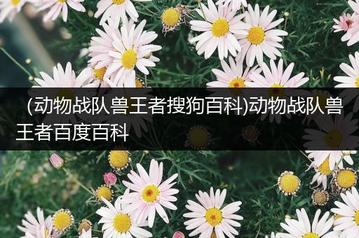 （动物战队兽王者搜狗百科)动物战队兽王者百度百科