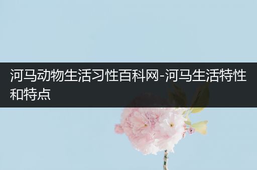 河马动物生活习性百科网-河马生活特性和特点