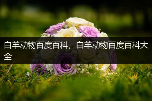白羊动物百度百科，白羊动物百度百科大全