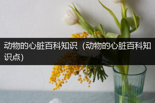 动物的心脏百科知识（动物的心脏百科知识点）