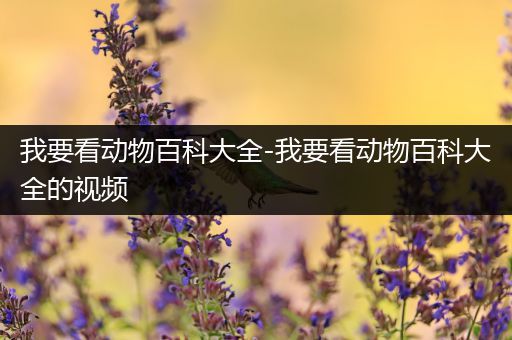 我要看动物百科大全-我要看动物百科大全的视频