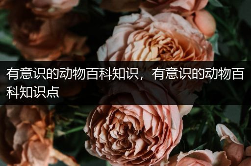有意识的动物百科知识，有意识的动物百科知识点