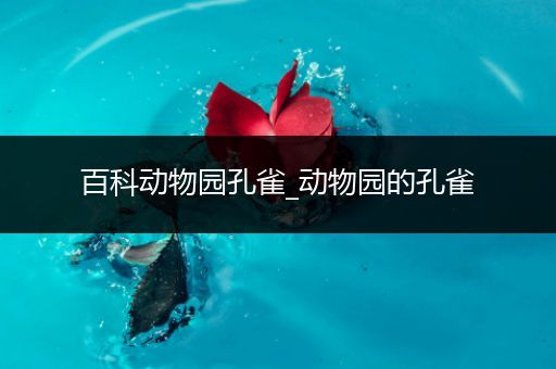 百科动物园孔雀_动物园的孔雀