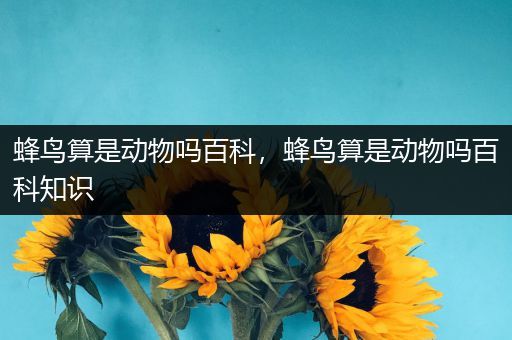 蜂鸟算是动物吗百科，蜂鸟算是动物吗百科知识