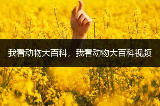 我看动物大百科，我看动物大百科视频
