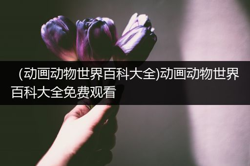 （动画动物世界百科大全)动画动物世界百科大全免费观看