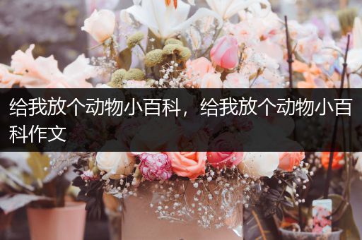 给我放个动物小百科，给我放个动物小百科作文