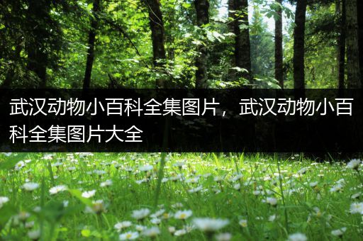 武汉动物小百科全集图片，武汉动物小百科全集图片大全