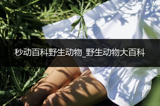 秒动百科野生动物_野生动物大百科