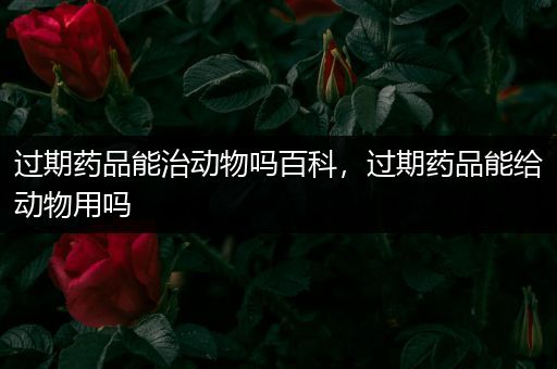 过期药品能治动物吗百科，过期药品能给动物用吗
