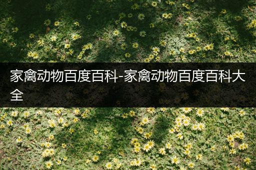 家禽动物百度百科-家禽动物百度百科大全