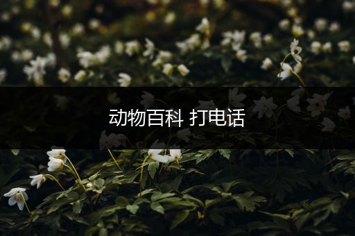 动物百科 打电话