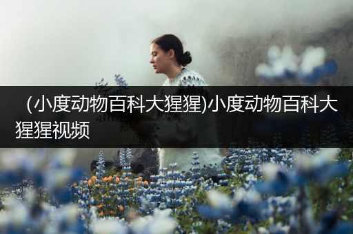 （小度动物百科大猩猩)小度动物百科大猩猩视频