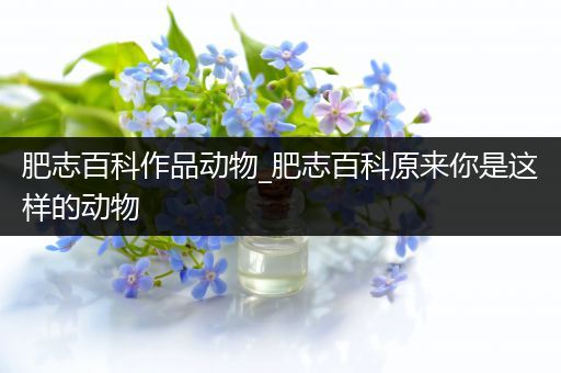 肥志百科作品动物_肥志百科原来你是这样的动物