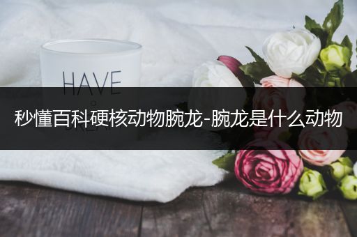 秒懂百科硬核动物腕龙-腕龙是什么动物