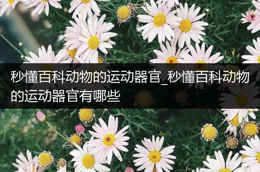 秒懂百科动物的运动器官_秒懂百科动物的运动器官有哪些