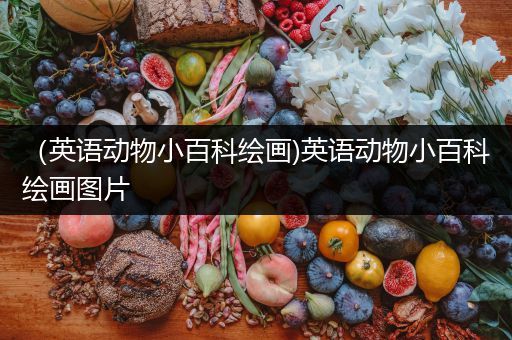 （英语动物小百科绘画)英语动物小百科绘画图片