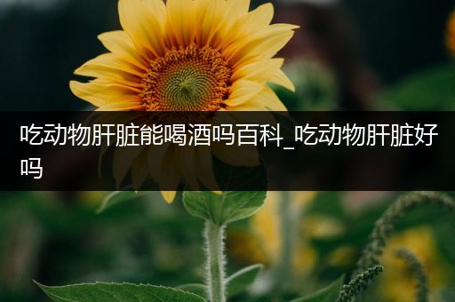 吃动物肝脏能喝酒吗百科_吃动物肝脏好吗