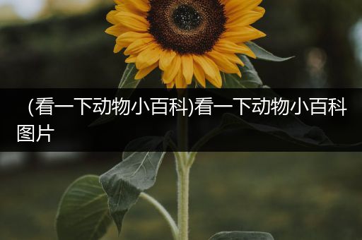 （看一下动物小百科)看一下动物小百科图片