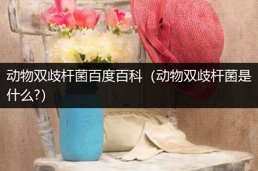 动物双歧杆菌百度百科（动物双歧杆菌是什么?）