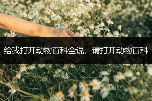 给我打开动物百科全说，请打开动物百科