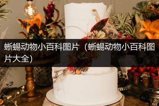蜥蜴动物小百科图片（蜥蜴动物小百科图片大全）