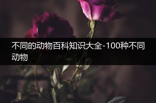不同的动物百科知识大全-100种不同动物